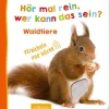 ars Edition - Hör mal rein? Wer kann das sein? Waldtiere | Teddy Toys Kinderwelt
