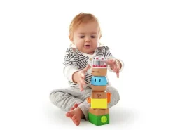 Baby Einstein Vier verrückte Bausteine | Teddy Toys Kinderwelt