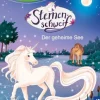 Bücherhelden 1.Kl. Sternenschweif Der geheime See | Teddy Toys Kinderwelt