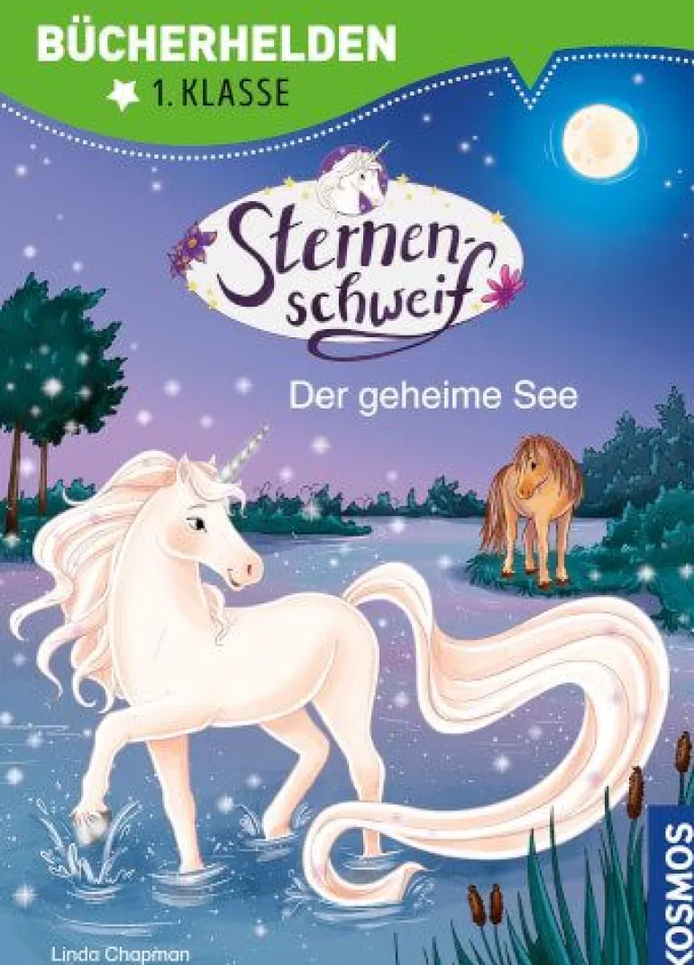 Bücherhelden 1.Kl. Sternenschweif Der geheime See | Teddy Toys Kinderwelt