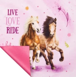 Brillenetui mit Putztuch - Pferdefreunde | Teddy Toys Kinderwelt