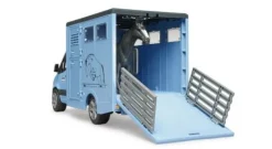 Bruder - MB Sprinter Tiertransporter mit 1 Pferd | Teddy Toys Kinderwelt