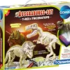 Clementoni Galileo - Ausgrabungsset T-Rex und Triceratops | Teddy Toys Kinderwelt
