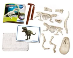 Clementoni Galileo - Ausgrabungsset Dinosaurier T-Rex Glow in the dark | Teddy Toys Kinderwelt