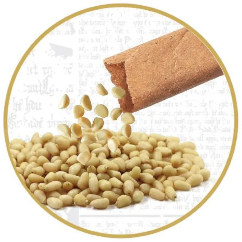 Clementoni Harry Potter - Terrarium | Teddy Toys Kinderwelt