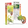 Eugy: 3D Bastelset Chamäleon | Teddy Toys Kinderwelt