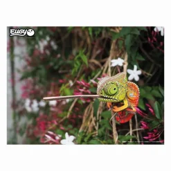 Eugy: 3D Bastelset Chamäleon | Teddy Toys Kinderwelt
