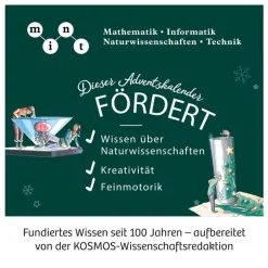 Experimente Adventskalender 2024 | Teddy Toys Kinderwelt