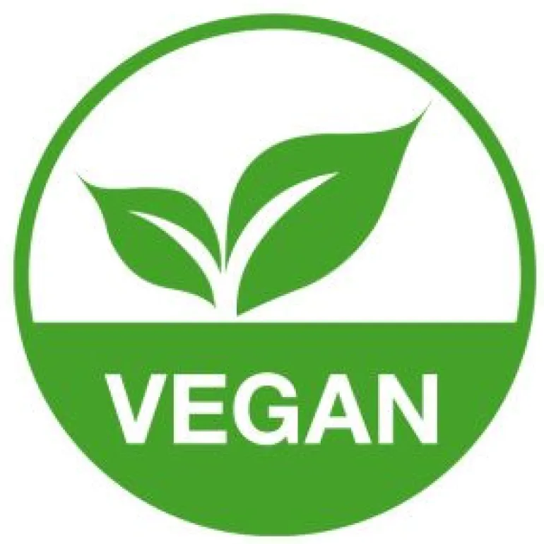 Faber Castell Modelliermasse Starterset | Teddy Toys Kinderwelt