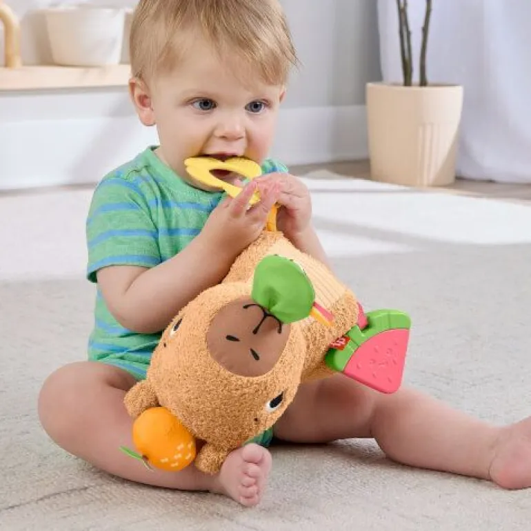 Fisher-Price sensorisches Babyspielzeug Kuschel-Capybara Plüschti | Teddy Toys Kinderwelt