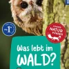 Kindernaturführer Was lebt im Wald? | Teddy Toys Kinderwelt