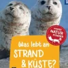 Kindernaturführer Was lebt an Strand & Küste? | Teddy Toys Kinderwelt