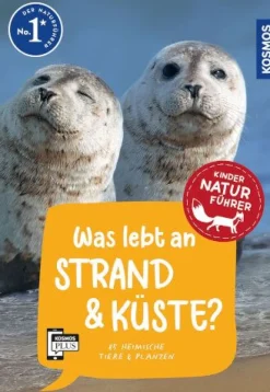 Kindernaturführer Was lebt an Strand & Küste? | Teddy Toys Kinderwelt