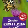 Kindernaturführer Welcher Schmetterling ist das? | Teddy Toys Kinderwelt