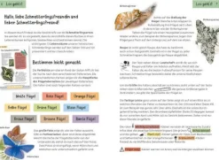 Kindernaturführer Welcher Schmetterling ist das? | Teddy Toys Kinderwelt