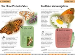 Kindernaturführer Welcher Schmetterling ist das? | Teddy Toys Kinderwelt