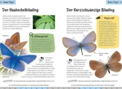 Kindernaturführer Welcher Schmetterling ist das? | Teddy Toys Kinderwelt