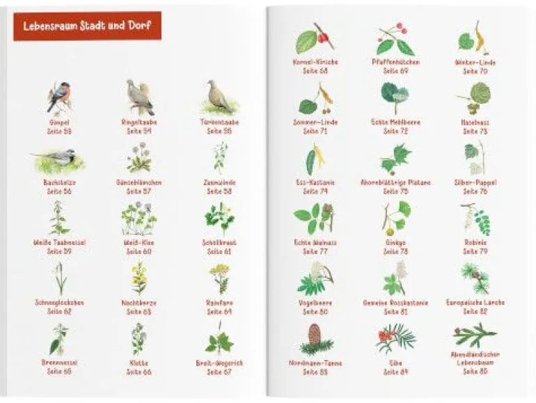 Kosmos Bücher - Tier- und Pflanzenführer | Teddy Toys Kinderwelt