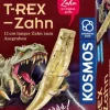 Kosmos Experimentierkasten - T-Rex Zahn | Teddy Toys Kinderwelt