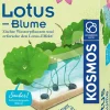 Kosmos Experimentierkasten - Lotusblume | Teddy Toys Kinderwelt