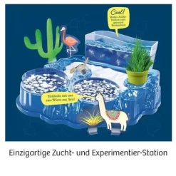 Kosmos Experimentierkasten - Salzkrebse | Teddy Toys Kinderwelt