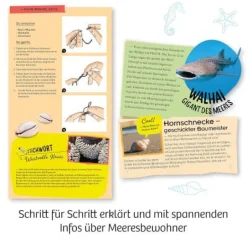 Kosmos Experimentierkasten - Meeres-Abenteuer | Teddy Toys Kinderwelt