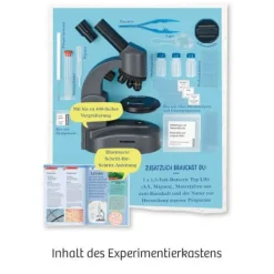 Kosmos Experimentierkasten - Mikroskop | Teddy Toys Kinderwelt