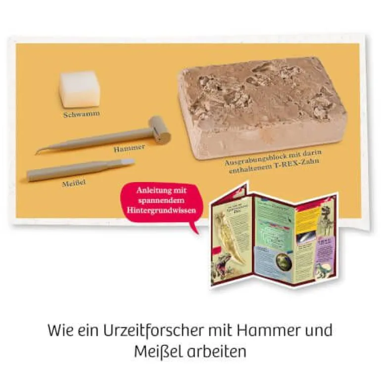 Kosmos Experimentierkasten - T-Rex Zahn | Teddy Toys Kinderwelt