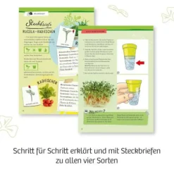 Kosmos Experimentierkasten - Microgreen-Garten | Teddy Toys Kinderwelt