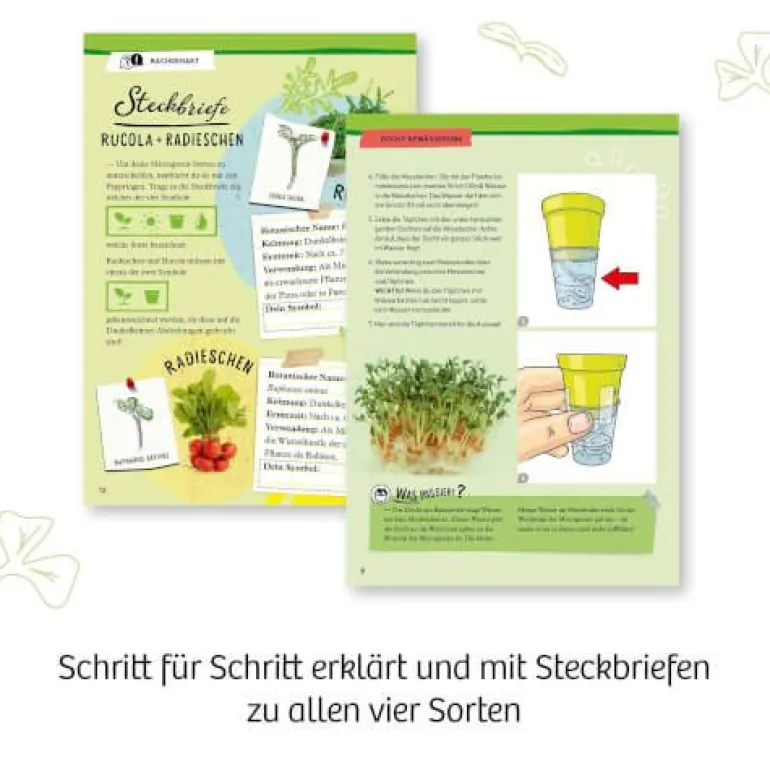Kosmos Experimentierkasten - Microgreen-Garten | Teddy Toys Kinderwelt