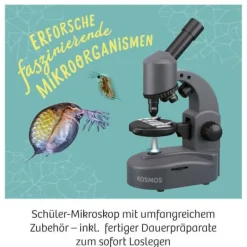 Kosmos Experimentierkasten - Mikroskop | Teddy Toys Kinderwelt