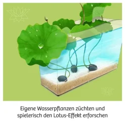 Kosmos Experimentierkasten - Lotusblume | Teddy Toys Kinderwelt