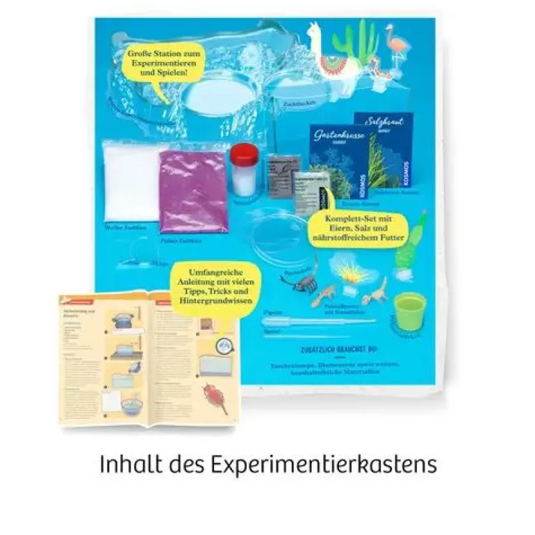 Kosmos Experimentierkasten - Salzkrebse | Teddy Toys Kinderwelt