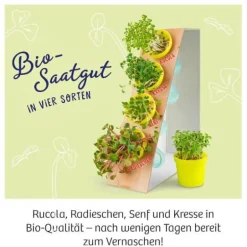 Kosmos Experimentierkasten - Microgreen-Garten | Teddy Toys Kinderwelt