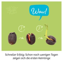 Kosmos Experimentierkasten - Lotusblume | Teddy Toys Kinderwelt