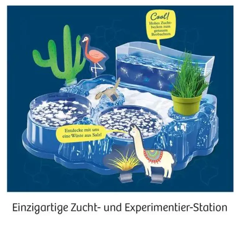 Kosmos Experimentierkasten - Salzkrebse | Teddy Toys Kinderwelt