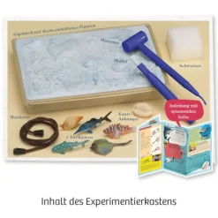 Kosmos Experimentierkasten - Meeres-Abenteuer | Teddy Toys Kinderwelt