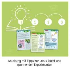 Kosmos Experimentierkasten - Lotusblume | Teddy Toys Kinderwelt