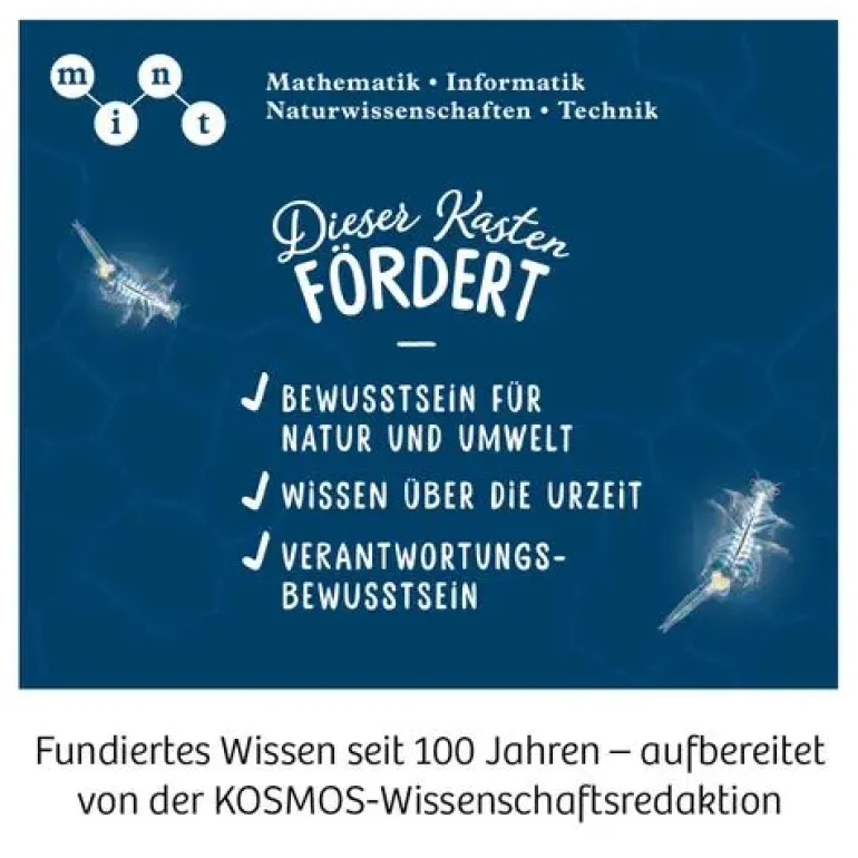Kosmos Experimentierkasten - Salzkrebse | Teddy Toys Kinderwelt