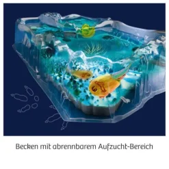 Kosmos Fun Science - Triops züchten | Teddy Toys Kinderwelt