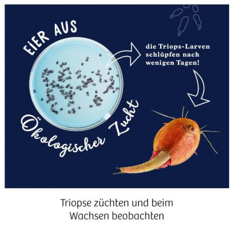 Kosmos Fun Science - Triops züchten | Teddy Toys Kinderwelt