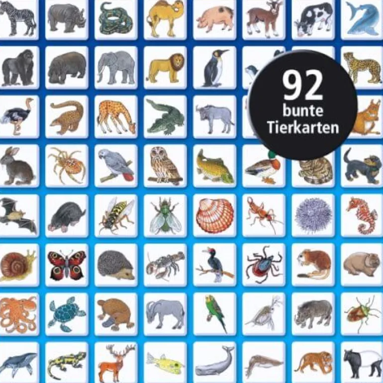 Kosmos Spiele - Können Schweine Fliegen? | Teddy Toys Kinderwelt