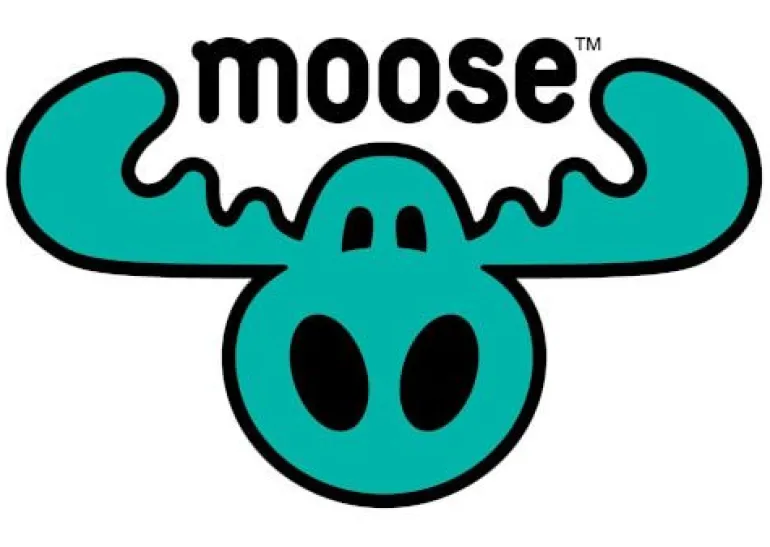 MAGIC MIXIES Pixlings - grün-blau | Teddy Toys Kinderwelt