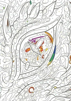 Malen nach Zahlen - Drachen, 48948 | Teddy Toys Kinderwelt