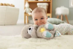 Mattel Fisher-Price FXC66 Schlummer-Otter | Teddy Toys Kinderwelt