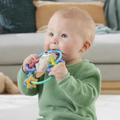 Mattel HJW12 Fisher-Price Otter Greif- und Beißring | Teddy Toys Kinderwelt