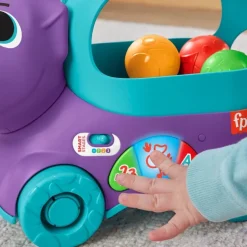 Mattel HNR54 Fisher-Price Bällespaß Nachzieh-Dino (D) | Teddy Toys Kinderwelt