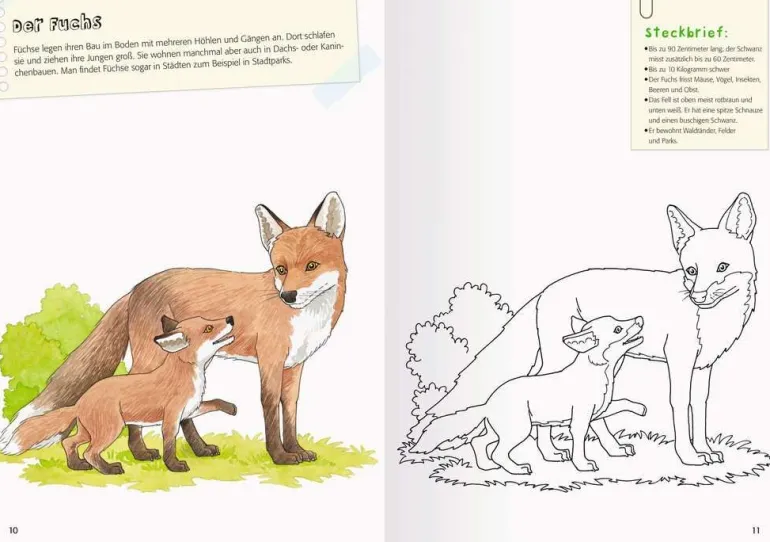 Mein großes Natur-Malbuch, 48947 | Teddy Toys Kinderwelt