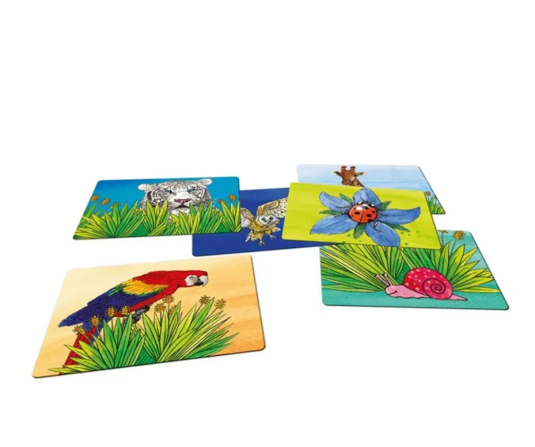 Noris - Fang mich! | Teddy Toys Kinderwelt