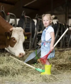 Outdoor active - Schubkarre-Metall, silber/grün | Teddy Toys Kinderwelt